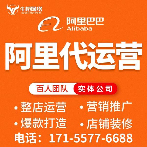 三门峡电商代运营