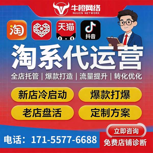 三门峡电商代运营
