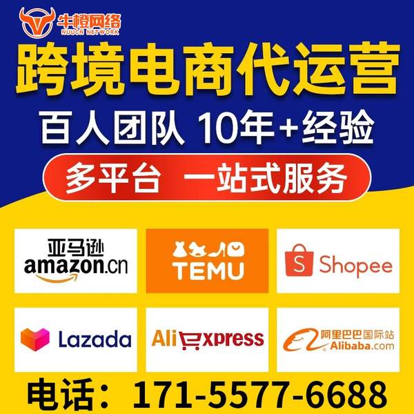 三门峡电商代运营