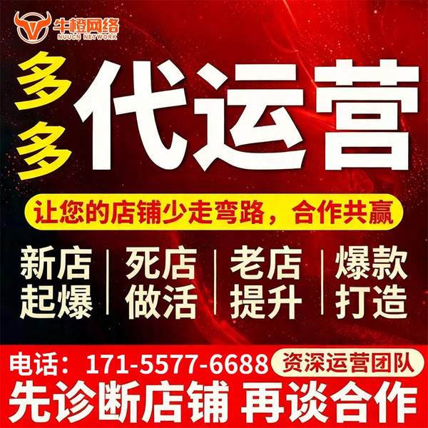三门峡电商代运营