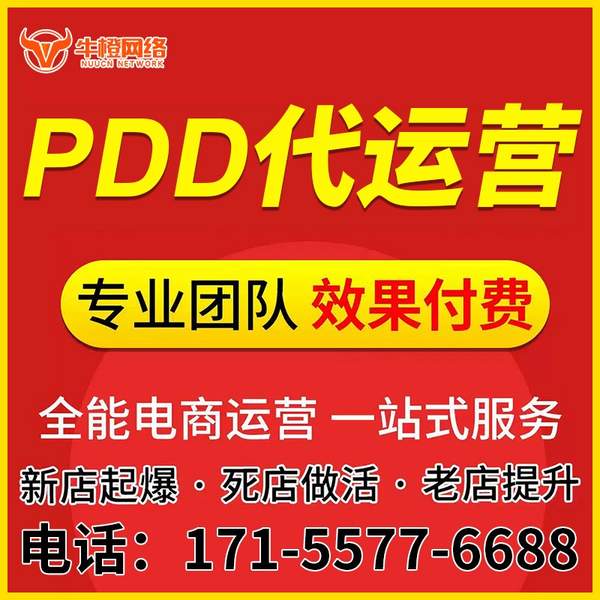 三门峡电商代运营
