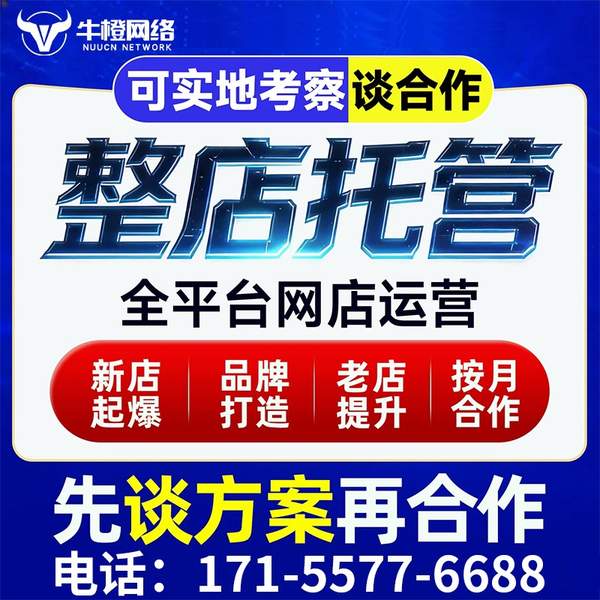 三门峡电商代运营