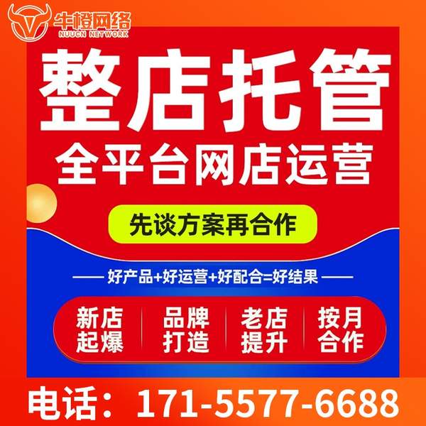 三门峡电商代运营