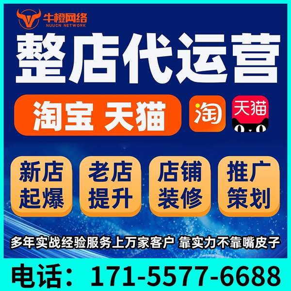三门峡电商代运营