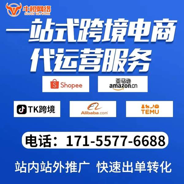 三门峡电商代运营