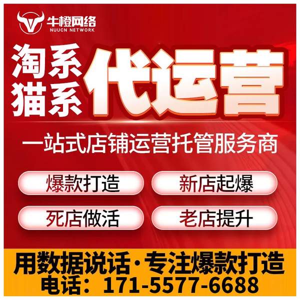 三门峡电商代运营